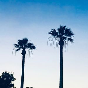 Meet your Posher, Ruby